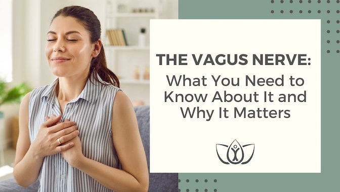 The Vagus Nerve: What You Need to Know About It and Why It Matters