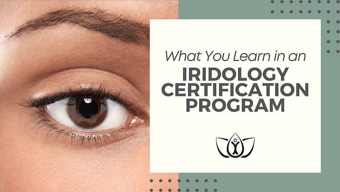 What You Learn in an Iridology Certification Program