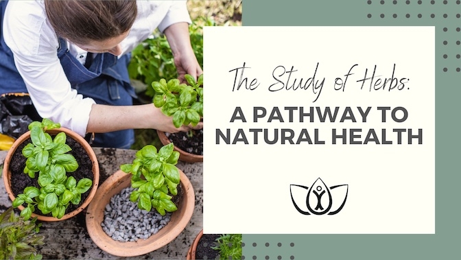 The Study of Herbs: A Pathway to Natural Health