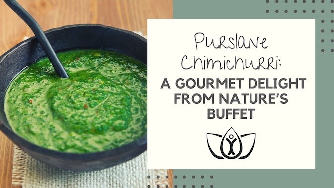 Purslane Chimichurri: A Gourmet Delight From Nature’s Buffet