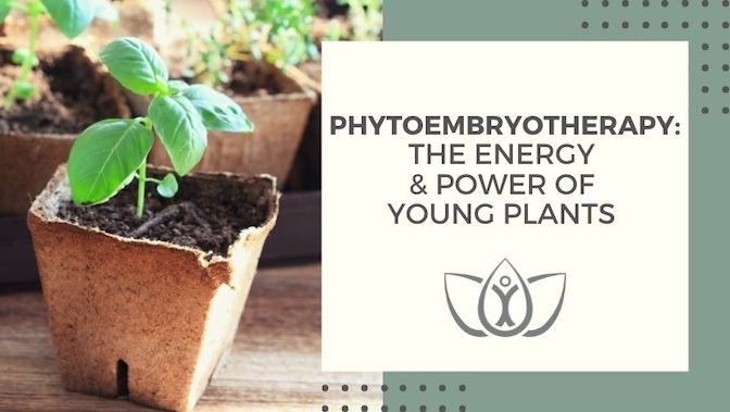 Phytoembryotherapy: The Energy & Power of Young Plants