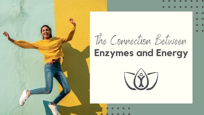 The Connection Between Enzymes and Energy