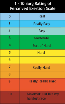 The Borg Rating chart that rates perceived exertion from 0 to 10 where 0 is "rest" and 10 is "Maximal: Just like my hardest race"