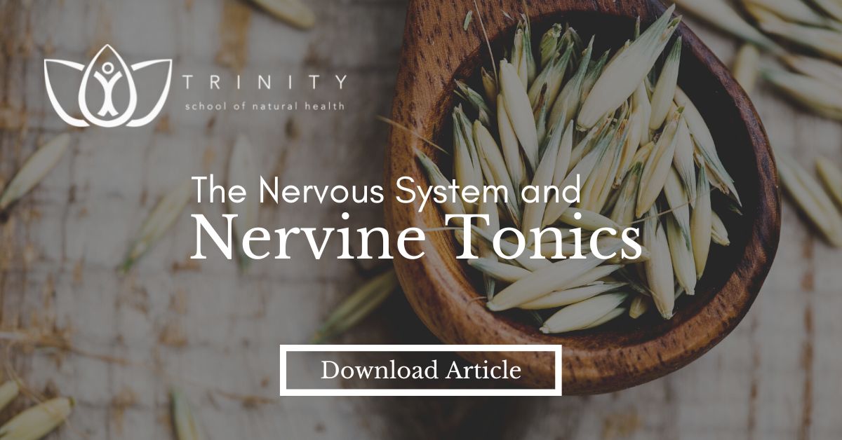 Learn about the nervous system and how nervine tonics may help to support this vital system.